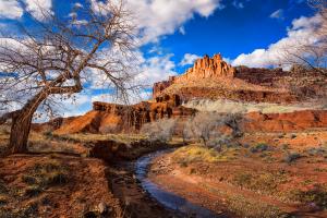 Photo Of The Day - The Castle At Capitol Reef